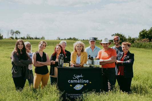 從種籽到餐桌的透明旅程：Signé Caméline 如何在魁北克純淨大地上，打造世界頂級的薺藍籽油？