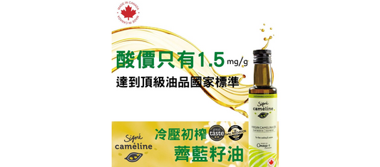 營養知識：怕Omega-3好油被高溫破壞？認識「素食魚油」薺藍籽油，煎煮炒炸都安心！