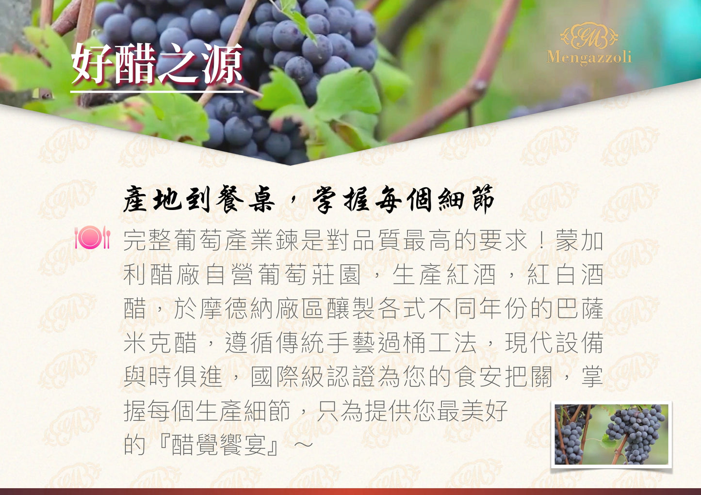 【蒙加利】義大利3年巴薩米克醋 I.G.P.認證250ml